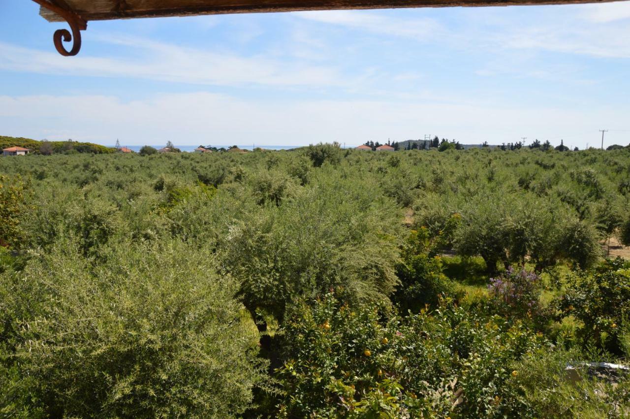 Anemona Apartments And Studios Vasilikos  Luaran gambar