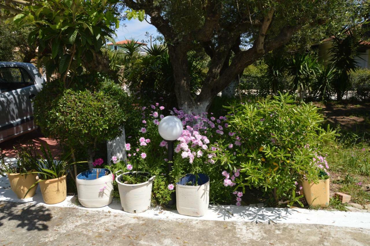 Anemona Apartments And Studios Vasilikos  Luaran gambar